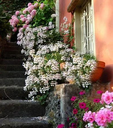 Villa Como Lake Affittacamere